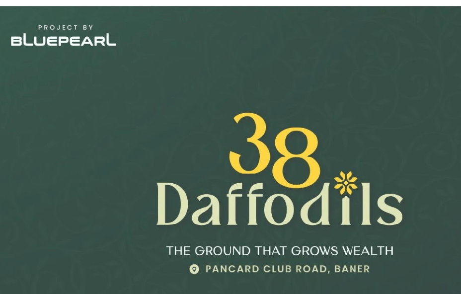 38 DAFFODILS